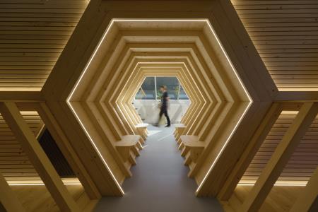 APILAB – Hiša kranjske čebele v Višnji Gori vabi… 1